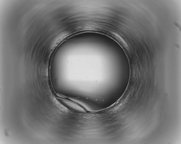X0000094210938200710261208
