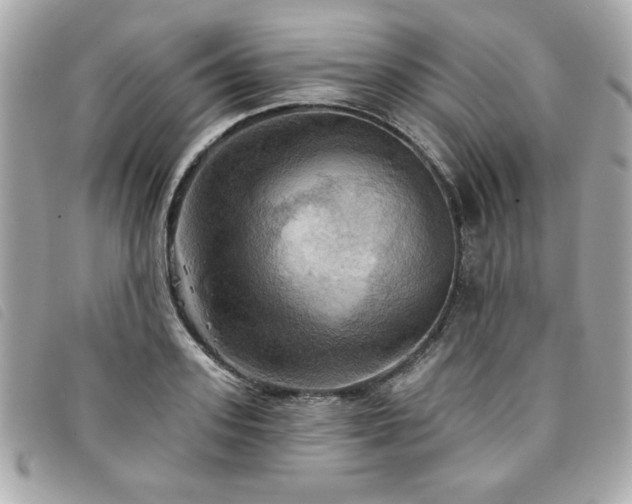 X0000094210939200710261208