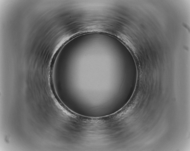 X0000094210941200710261208