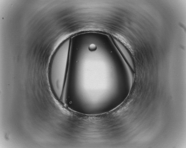 X0000094210942200710261208