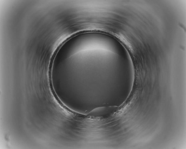 X0000094210943200710261208