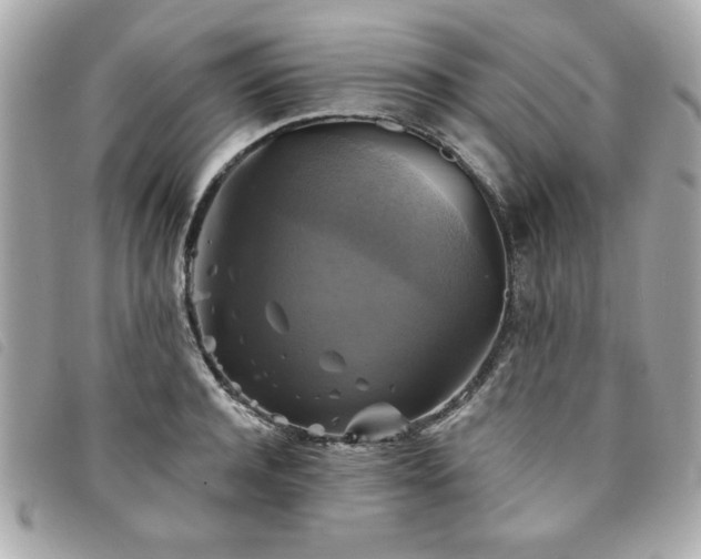 X0000094210944200710261208