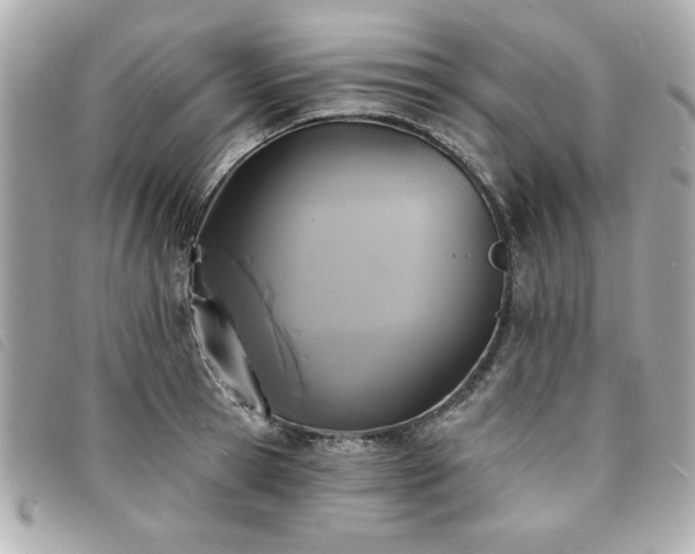 X0000094210945200710261208