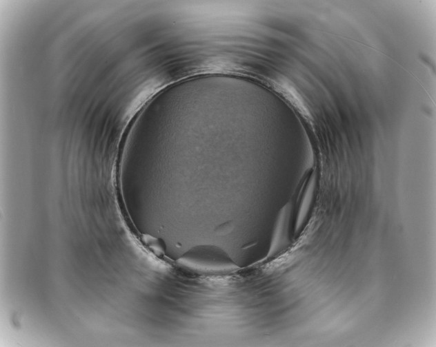 X0000094210946200710261208