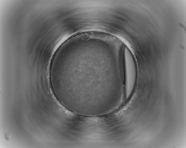 X0000094210949200710261208