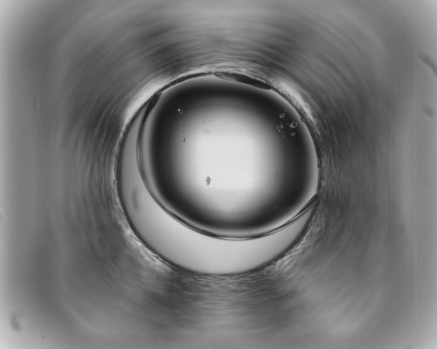 X0000094210952200710261208