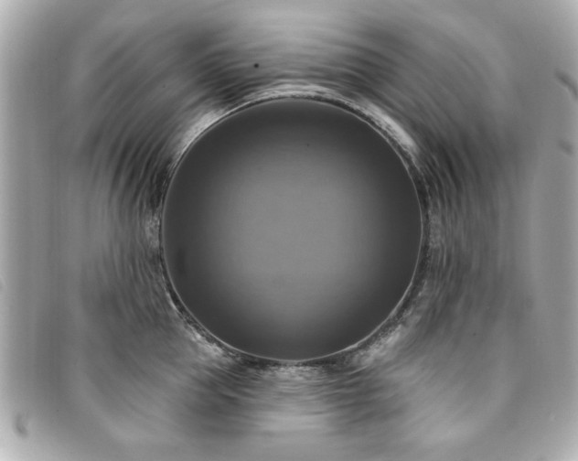 X0000094210953200710261208