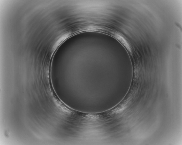 X0000094210954200710261208