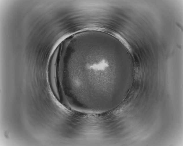 X0000094210955200710261208