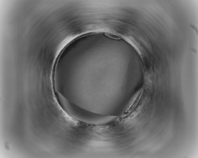X0000094210959200710261208