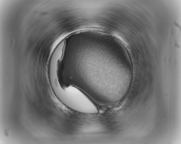 X0000094210960200710261208