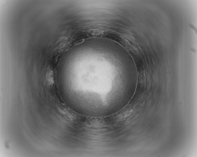 X0000094210962200710261207