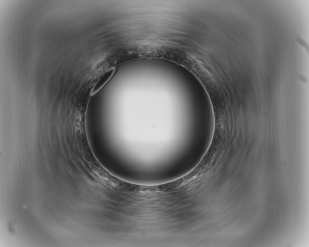 X0000094210964200710261207