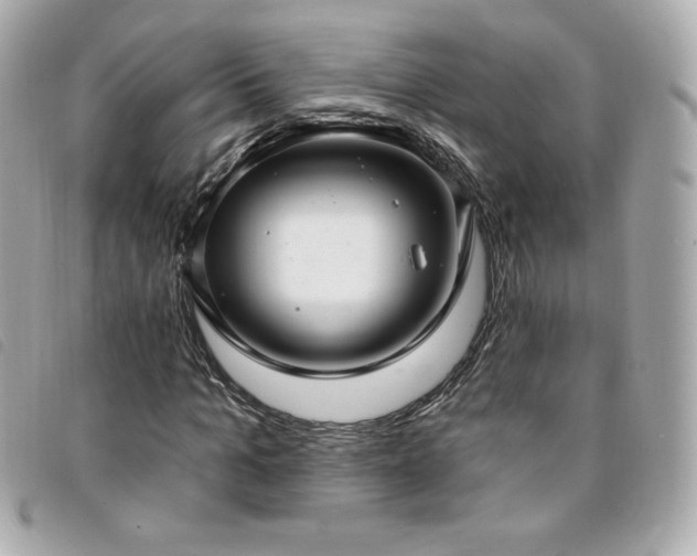 X0000094210965200710261207