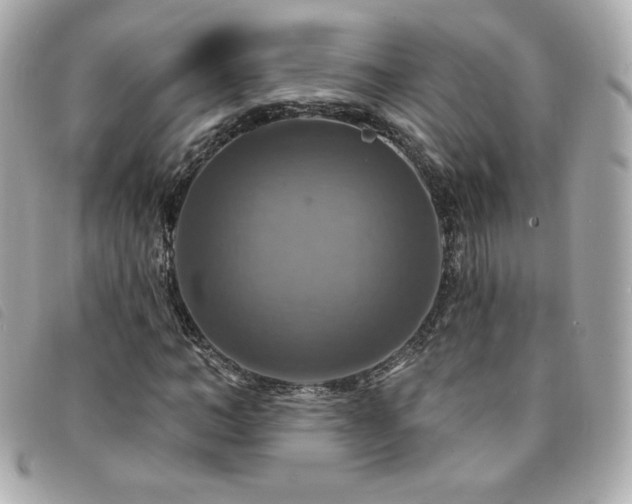 X0000094210966200710261207