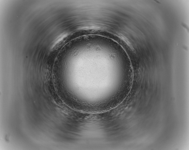 X0000094210967200710261207