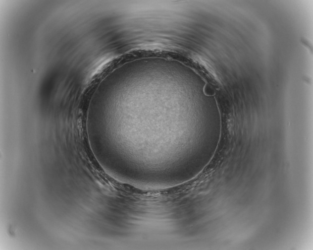 X0000094210968200710261207
