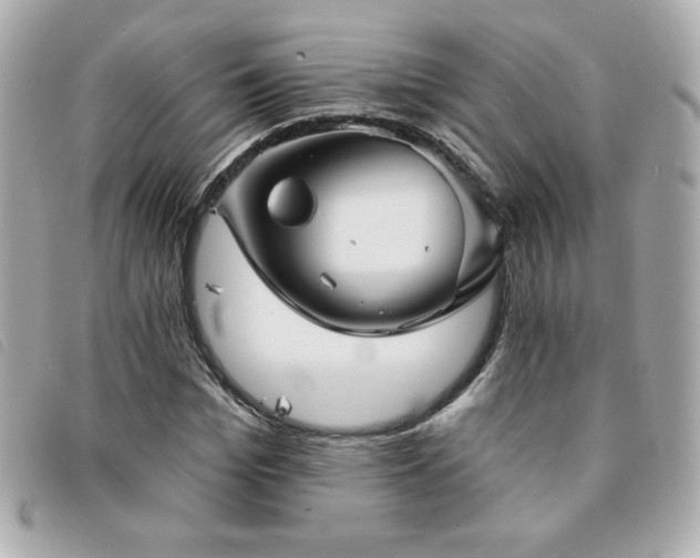 X0000094210969200710261207