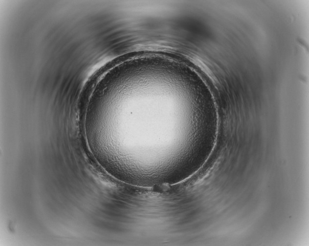 X0000094210971200710261207