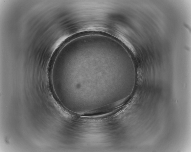X0000094210972200710261207