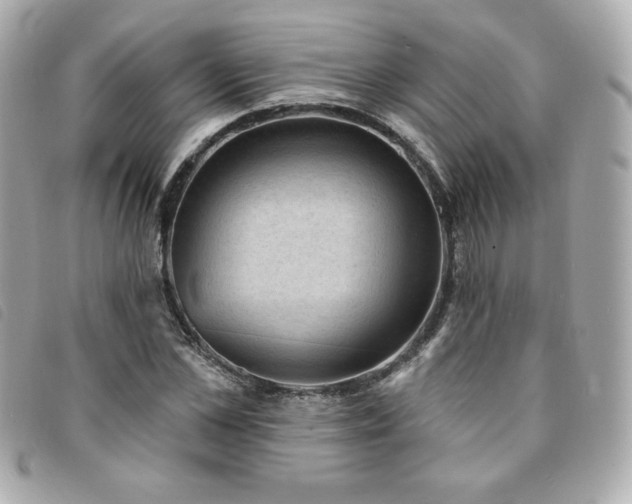 X0000094210973200710261207