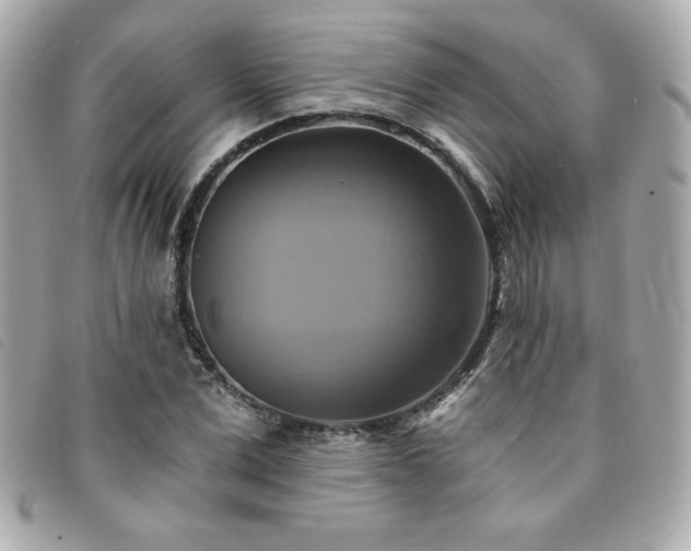 X0000094210975200710261207