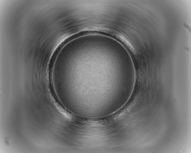 X0000094210976200710261207