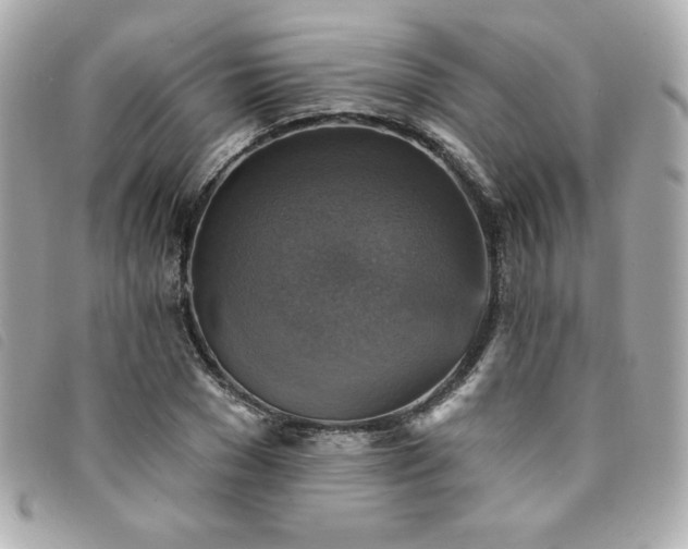 X0000094210977200710261207