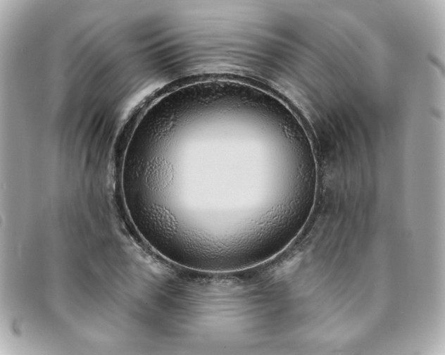 X0000094210979200710261207