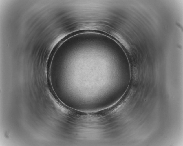 X0000094210980200710261207