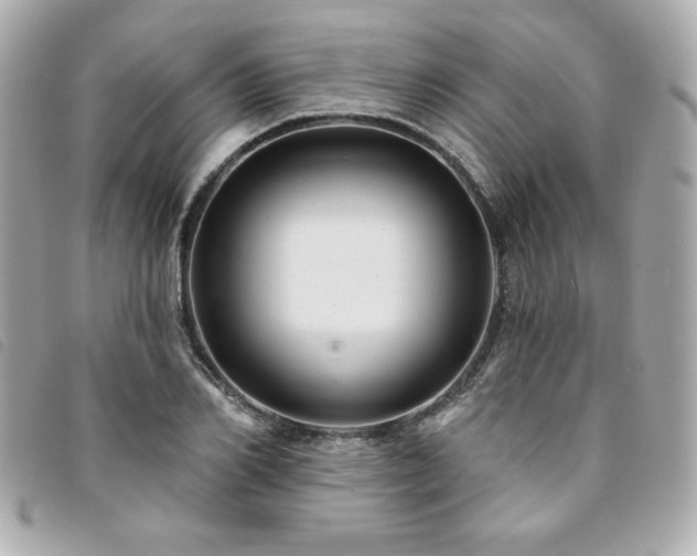 X0000094210982200710261207