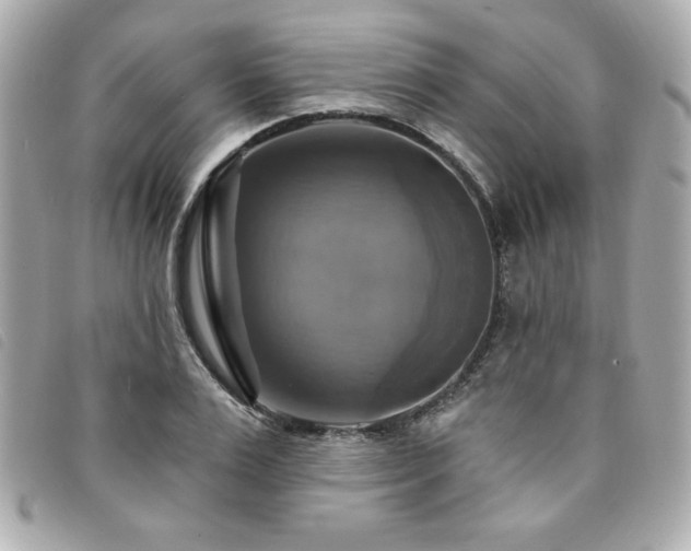X0000094210983200710261207