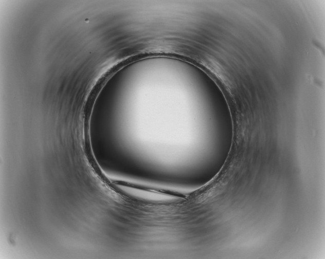 X0000094210984200710261207