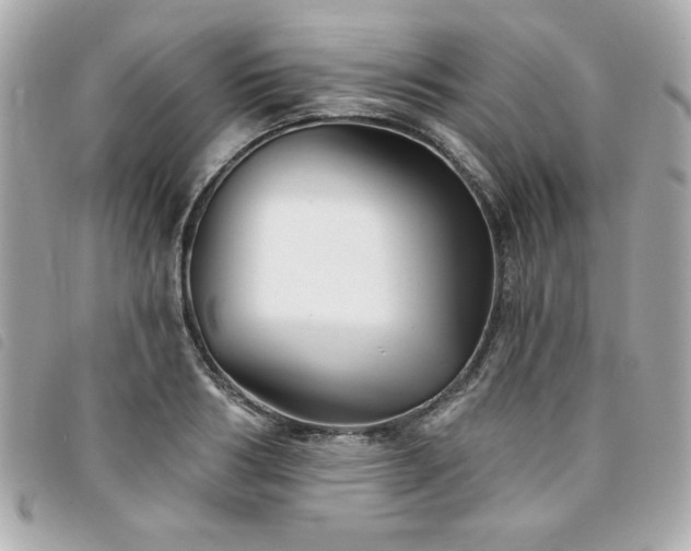 X0000094210986200710261207