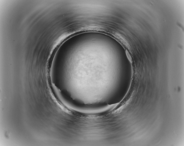 X0000094210989200710261207