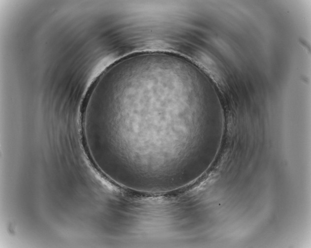 X0000094210990200710261207