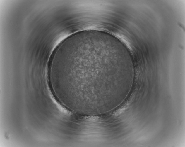 X0000094210991200710261207