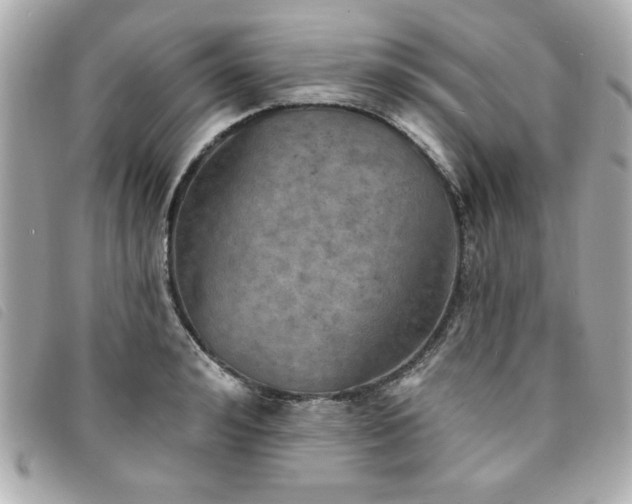 X0000094210992200710261207