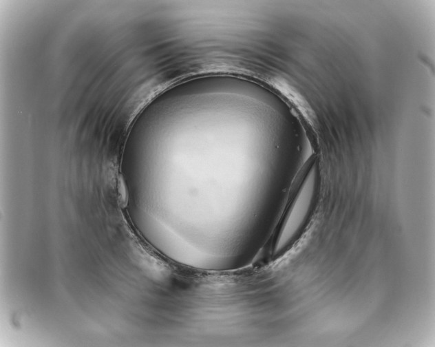 X0000094210993200710261207