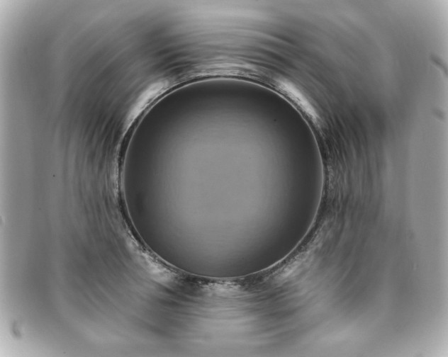 X0000094210994200710261207