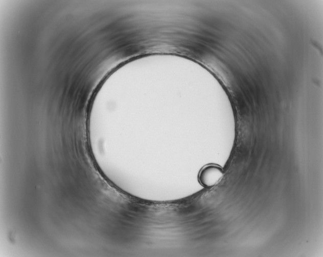 X0000094211000200710261207