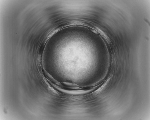 X0000094211001200710261207