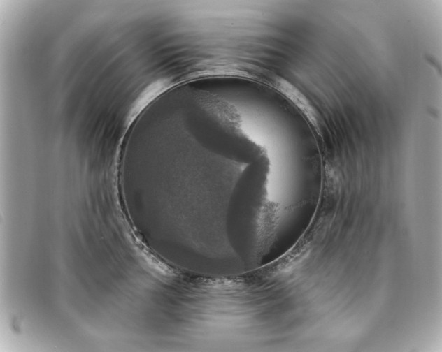 X0000094211002200710261207