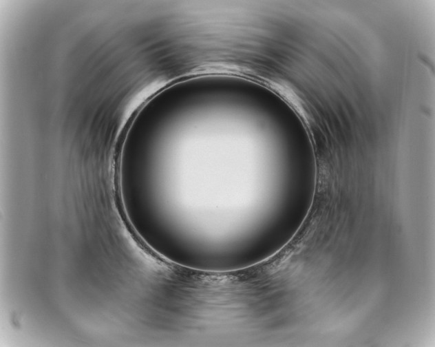 X0000094211003200710261207