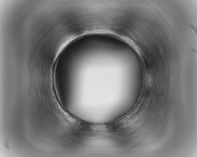 X0000094211006200710261207