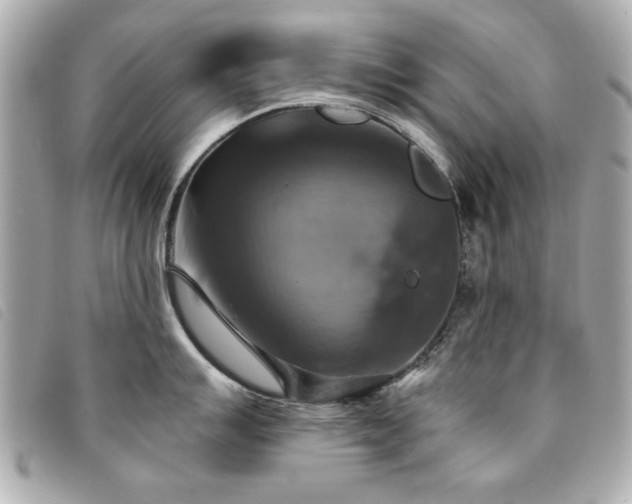 X0000094211007200710261207