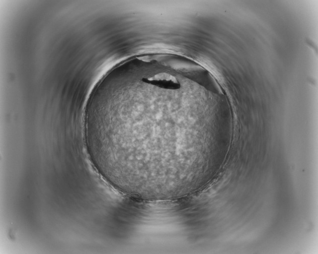 X0000094211008200710261207