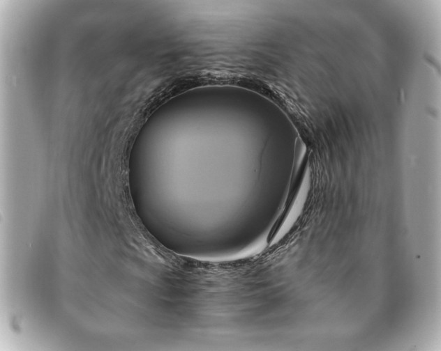 X0000094211009200710261206