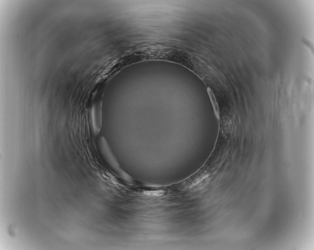 X0000094211010200710261206