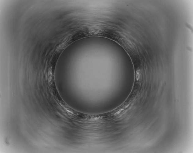 X0000094211011200710261206